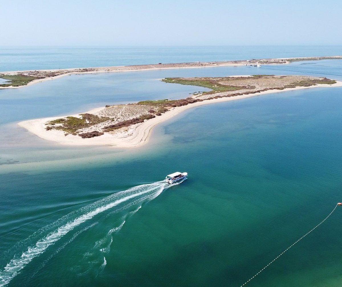 passeios-ria-formosa-min.jpg